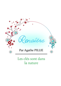Agathe Pillié Cléguérec, Bilan naturopathique, Nutrition et micro nutrition